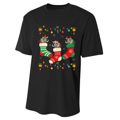 Santa Hat Xmas Light Funny Three Boar in Christmas Socks Performance Sprint T-Shirt