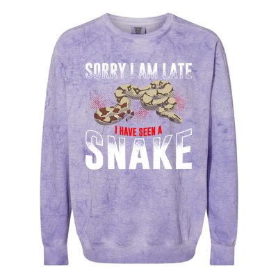 Sorry I Am Late I Have Seen A Snake Gift Colorblast Crewneck Sweatshirt