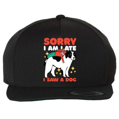 Sorry I Am Late I Saw A Dog Cute Gift Wool Snapback Cap