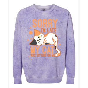 Sorry I Am Late My Cat Was Sitting On Me Funny Kitten Lover Gift Colorblast Crewneck Sweatshirt