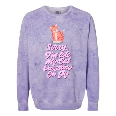 Sorry I Am Late My Cat Was Sleeping On Me Great Gift Colorblast Crewneck Sweatshirt