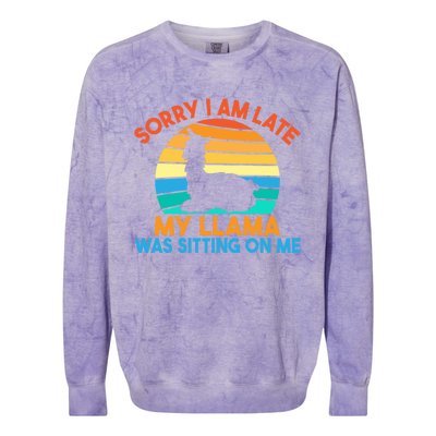 Sorry I Am Late My Llama Was Sitting On Me Funny Llama Meaningful Gift Colorblast Crewneck Sweatshirt