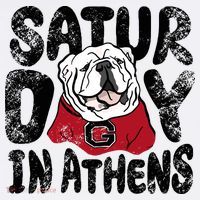 Saturday In Athens Georgia Football Premium T-Shirt