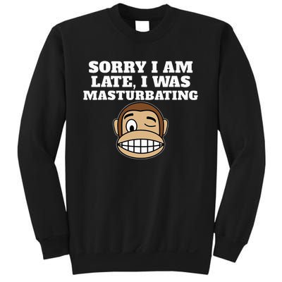 Sorry I Am Late I Was Masturbating Sweatshirt