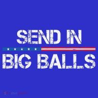 Send In Big Balls Doge D.O.G.E Tall T-Shirt