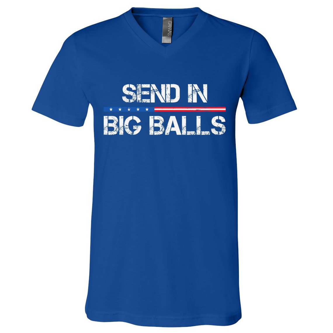 Send In Big Balls Doge D.O.G.E V-Neck T-Shirt
