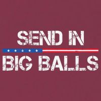 Send In Big Balls Doge D.O.G.E 16oz Travel Tumbler