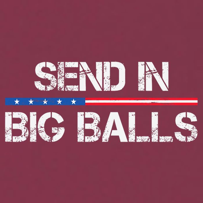 Send In Big Balls Doge D.O.G.E 16oz Travel Tumbler
