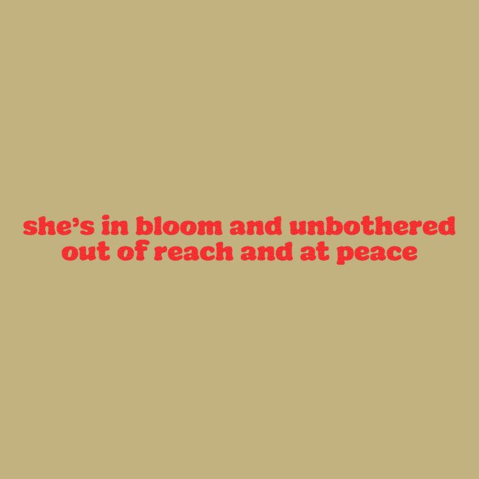 She’S In Bloom And Unbothered Out Of Reach And At Peace T-Shirt