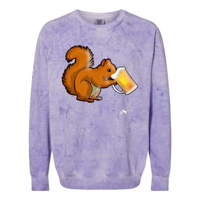 Squirrel Ing Beer Nimal Lovers Gift Beer Squirrel Cute Gift Colorblast Crewneck Sweatshirt