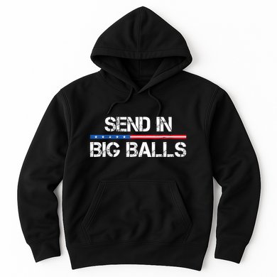 Send In Big Balls Doge D.O.G.E Hoodie