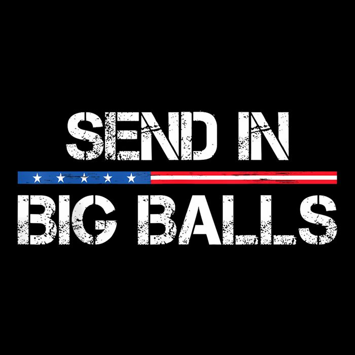 Send In Big Balls Doge D.O.G.E Youth Performance Sprint T-Shirt
