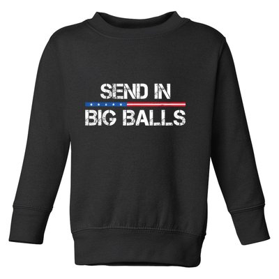 Send In Big Balls Doge D.O.G.E Toddler Sweatshirt