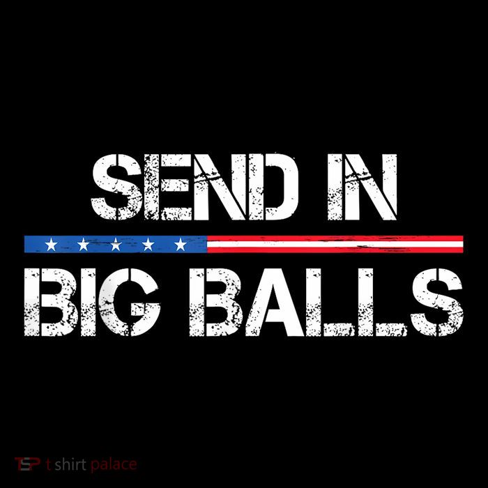 Send In Big Balls Doge D.O.G.E Toddler T-Shirt