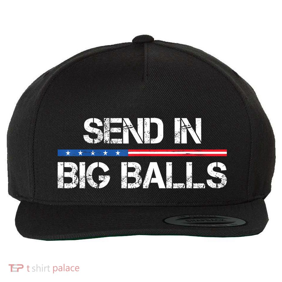 Send In Big Balls Doge D.O.G.E Wool Snapback Cap