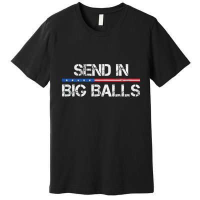 Send In Big Balls Doge D.O.G.E Gift Premium T-Shirt