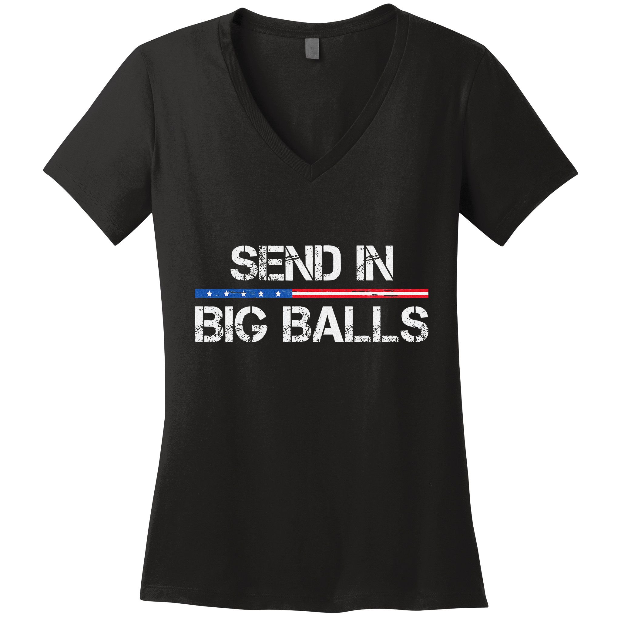 Send In Big Balls Doge D.O.G.E Gift Women's V-Neck T-Shirt