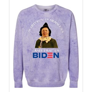 Scarecrow Is Brainless And That Is Biden Colorblast Crewneck Sweatshirt