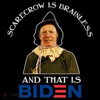 Scarecrow Is Brainless And That Is Biden Pom Pom 12in Knit Beanie