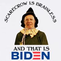 Scarecrow Is Brainless And That Is Biden Premium T-Shirt