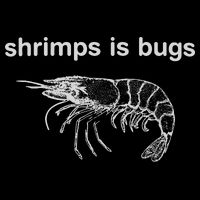 Shrimps Is Bugs Backpack