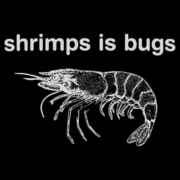 Shrimps Is Bugs Cropped Pullover Crew