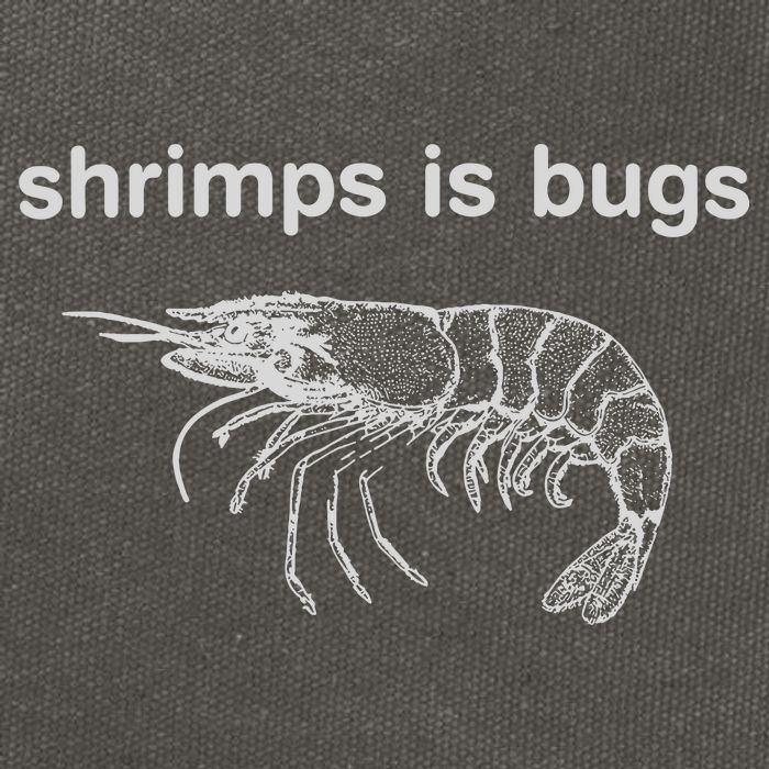 Shrimps Is Bugs Cotton Canvas Backpack