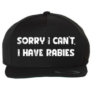 Sorry I Cant I Have Rabies Funny Humorous Women Outfit Wool Snapback Cap