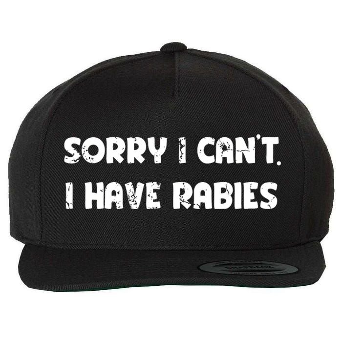 Sorry I Cant I Have Rabies Funny Humorous Women Outfit Wool Snapback Cap