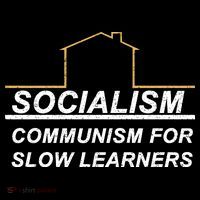 Socialism Is Communism For Slow Learners Premium T-Shirt