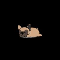 Sorry I Can't Today It's A No Bones Day Cute Pug 16oz Travel Tumbler