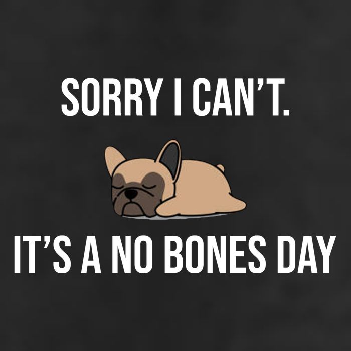 Sorry I Can't Today It's A No Bones Day Cute Pug 25L Jumbo Tote
