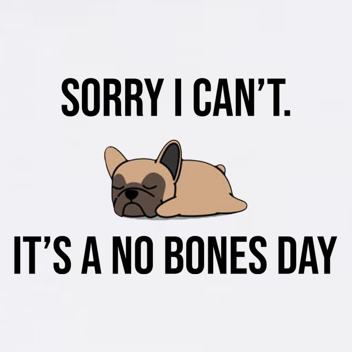 Sorry I Can't Today It's A No Bones Day Cute Pug Garment-Dyed Sweatshirt