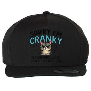 Sorry IM Cranky IM Going Through My Terrible 30S Cat Gift Wool Snapback Cap