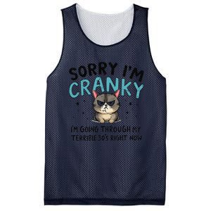 Sorry IM Cranky IM Going Through My Terrible 30S Cat Gift Mesh Reversible Basketball Jersey Tank