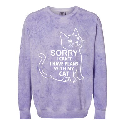 Sorry I Can't I Have Plans With My Cat Gift Colorblast Crewneck Sweatshirt