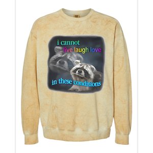 Snazzyseagull I Cannot Live Laugh Love In These Conditions Raccoon Colorblast Crewneck Sweatshirt