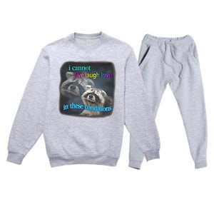 Snazzyseagull I Cannot Live Laugh Love In These Conditions Raccoon Premium Crewneck Sweatsuit Set