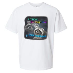 Snazzyseagull I Cannot Live Laugh Love In These Conditions Raccoon Sueded Cloud Jersey T-Shirt