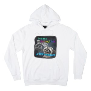 Snazzyseagull I Cannot Live Laugh Love In These Conditions Raccoon Hoodie