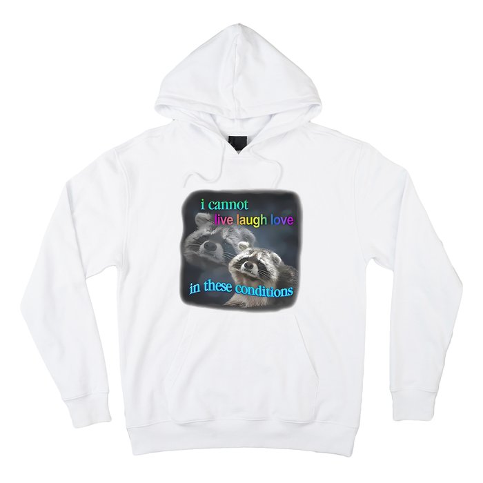 Snazzyseagull I Cannot Live Laugh Love In These Conditions Raccoon Hoodie