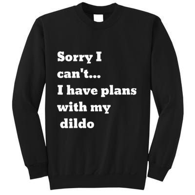 Sorry I CanT. I Have Plans With My Dildo Sweatshirt