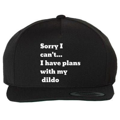 Sorry I CanT. I Have Plans With My Dildo Wool Snapback Cap