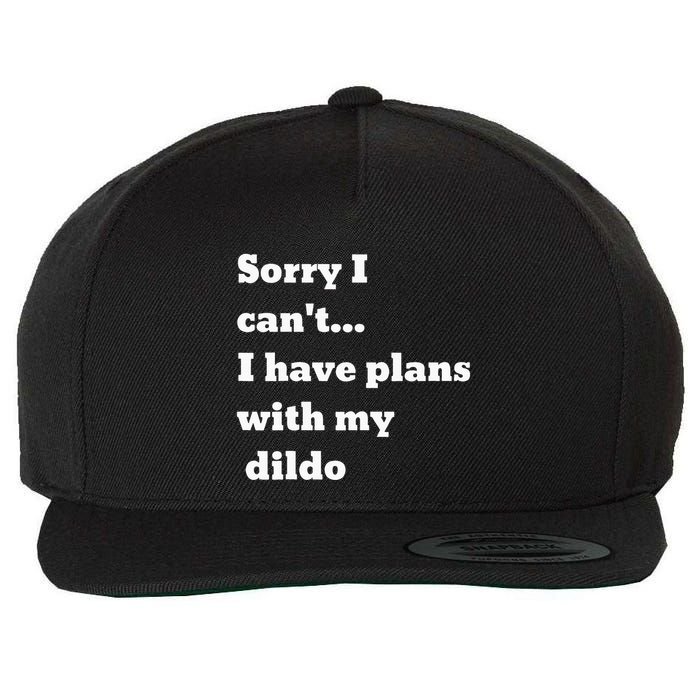 Sorry I CanT. I Have Plans With My Dildo Wool Snapback Cap