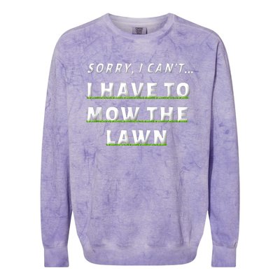 Sorry I Can't I Have To Mow The Lawn Funny Lawn Mowing Dad Colorblast Crewneck Sweatshirt