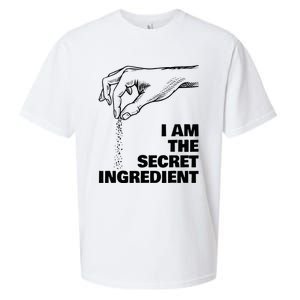 Secret Ingredient Cooking Cook Chef Sueded Cloud Jersey T-Shirt