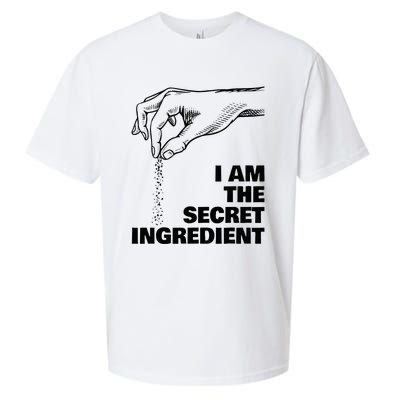 Secret Ingredient Cooking Cook Chef Sueded Cloud Jersey T-Shirt