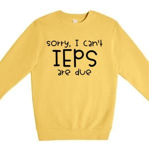 Sorry I Cant Ieps Are Due Cute Elementary Teacher Iep Premium Crewneck Sweatshirt