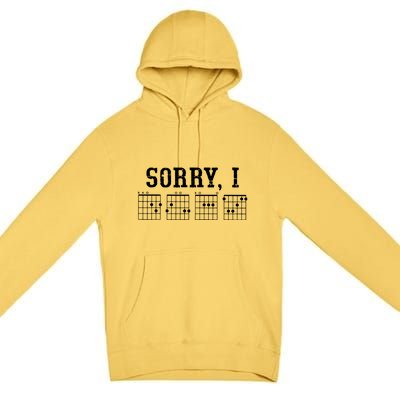 Sorry I DGAF Funny Message Guitar Chords Guitarist Gift Premium Pullover Hoodie