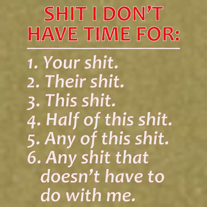 Shit I DonT Have Time For Funny Mocking Bull Graphic Garment-Dyed Women's Muscle Tee